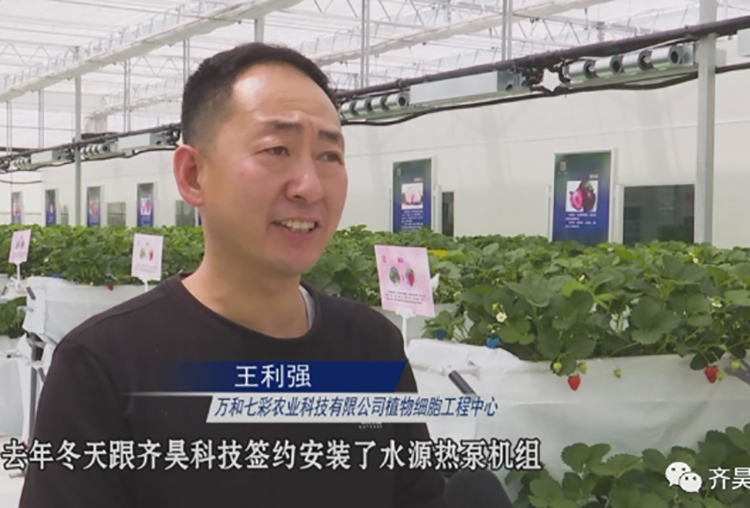 萬和七彩農業科技有限公司（sī）植物（wù）細胞工程中心王利強